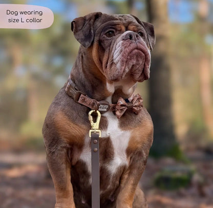 Disney© Collar- Slinky