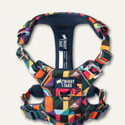 Aurora Adventure Harness 2.0