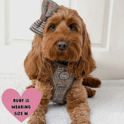 Bailey & Coco Trail & Glow Tweed Dog Harness - Colour Drops - Heritage Plaid