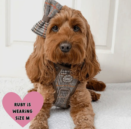 Bailey & Coco Trail & Glow Tweed Dog Harness - Colour Drops - Heritage Plaid