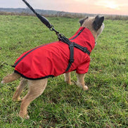 Verano - Lightweight Waterproof Dog Coat with Built in Harness