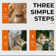 Canny Collar No Pull Dog Head collar - Gentle, Kind, Comfy