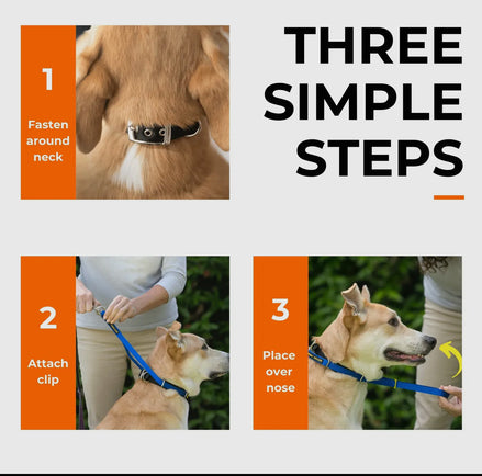 Canny Collar No Pull Dog Head collar - Gentle, Kind, Comfy