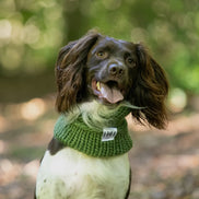 Hetty and Huxley Luxury Hand Knitted Dog Snood