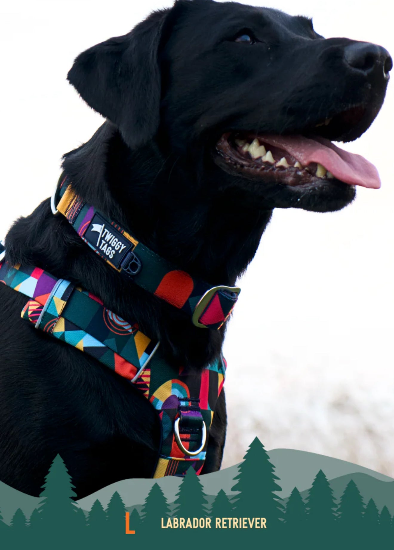 Lagoon Comfort Collar