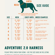 Aurora Adventure Harness 2.0
