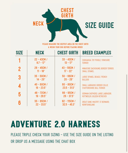 Aurora Adventure Harness 2.0