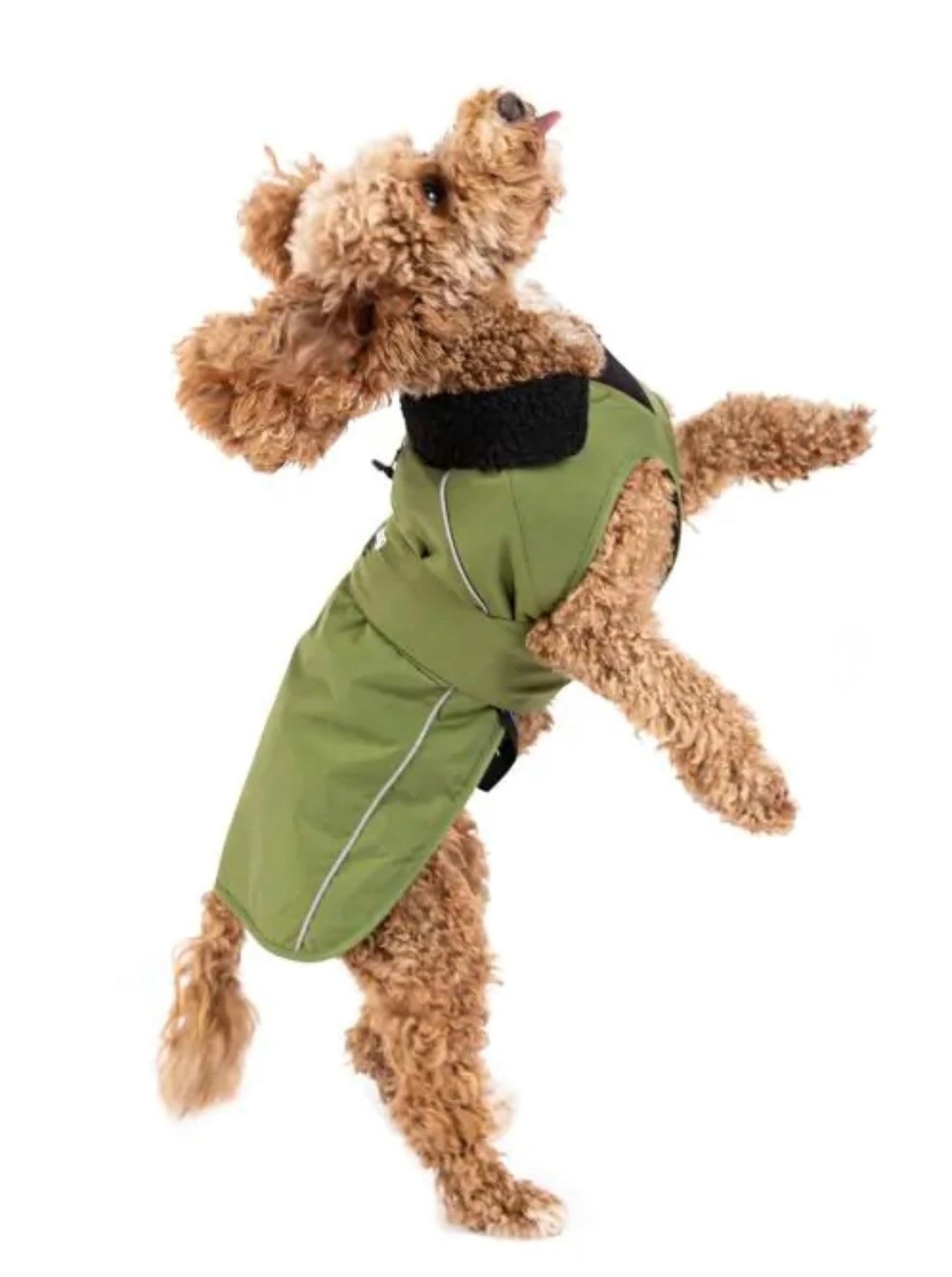 Dryrobe® Dog Green/Black