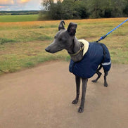 Sherpa - Fleece Lined Sighthound Coat - Harness Hole - No Velcro