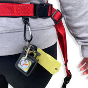 6-IN-1 Multi Function Lead with Anti-jar Bungee