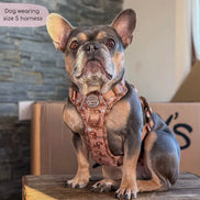 Disney© Tough Trails™ Harness - Slinky