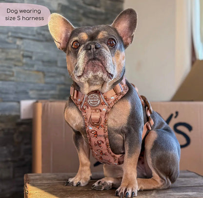 Disney© Tough Trails™ Harness - Slinky