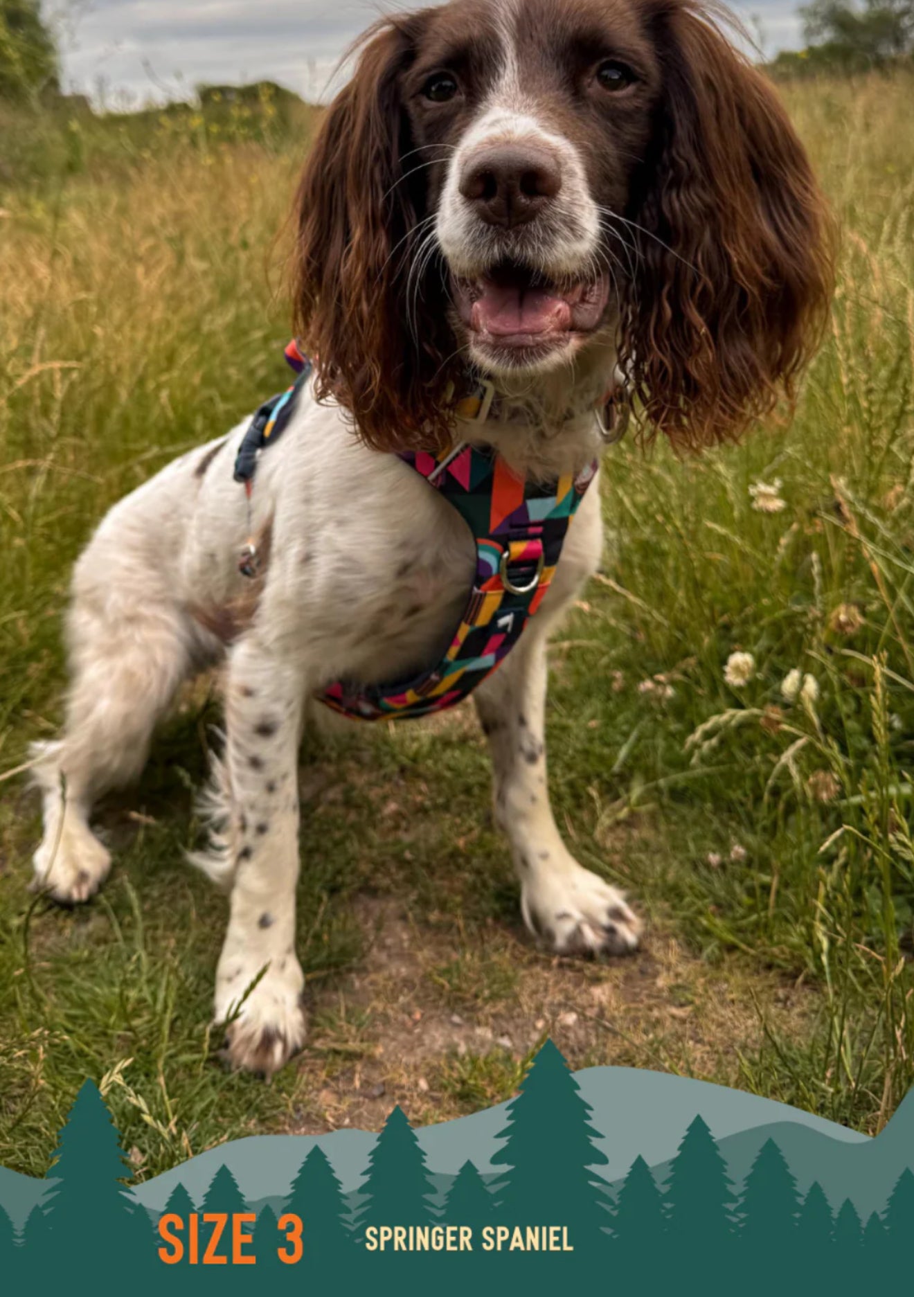 Aurora Adventure Harness 2.0