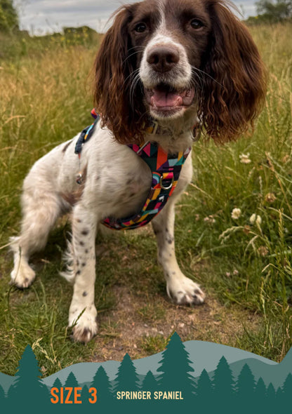 Aurora Adventure Harness 2.0