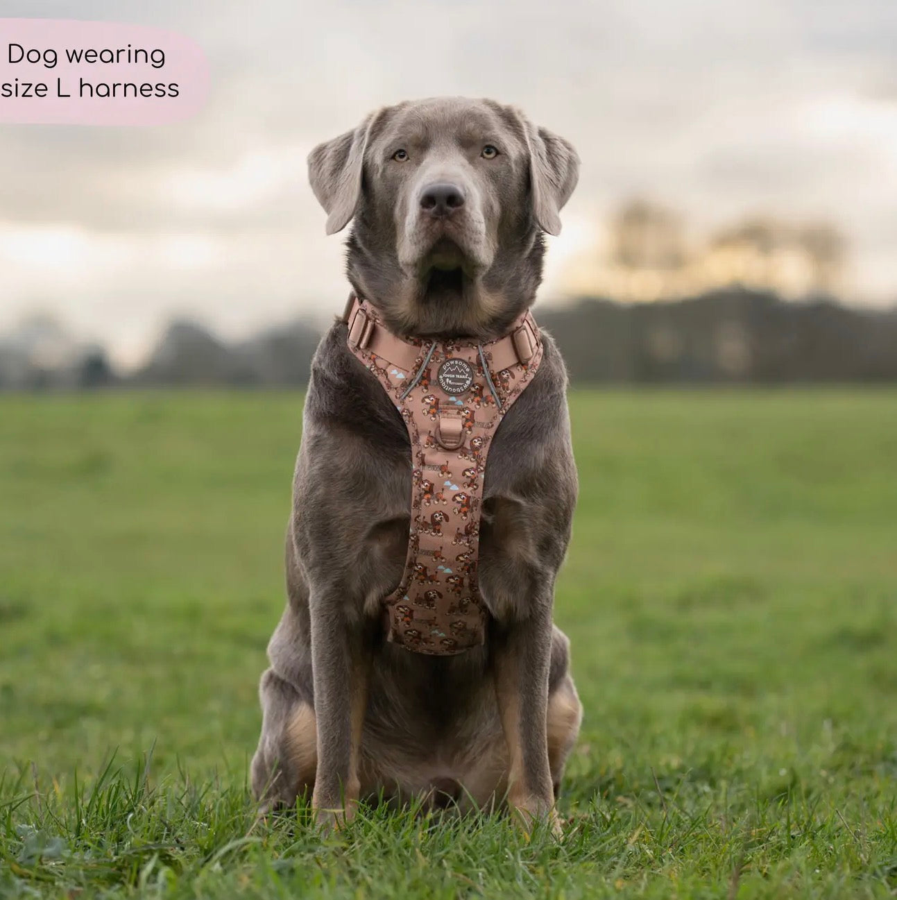 Disney© Tough Trails™ Harness - Slinky