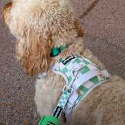 Oh My Dog Signature Checkerboard Harness & Lead Set – Summer Green