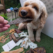 Natural Dog Subscription Box