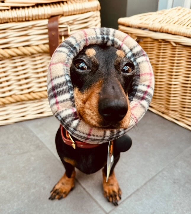 Soothe and Settle Hush Muff