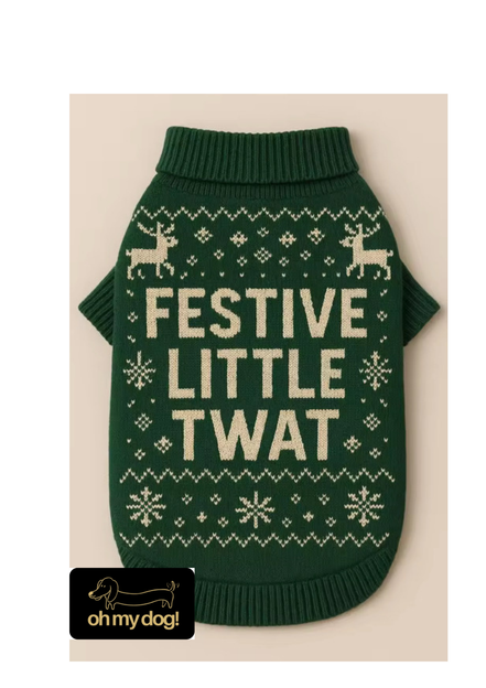 Festive ‘Little Twat’ Dog Jumper