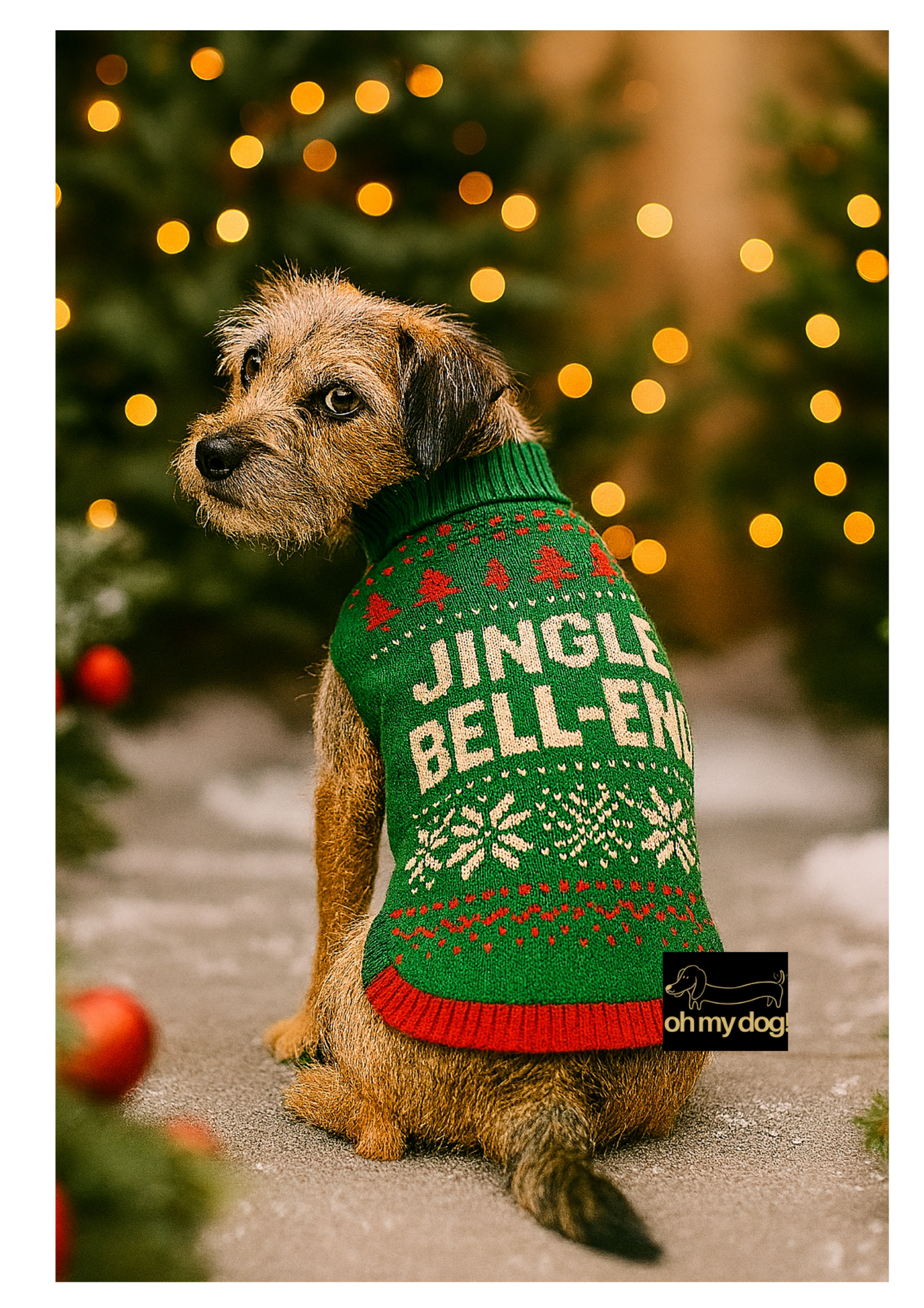 Festive ‘Jingle Bell-End’ Dog Jumper