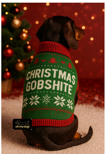 Festive ‘Christmas Gobshite’ Dog Jumper