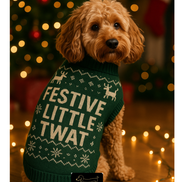 Festive ‘Little Twat’ Dog Jumper