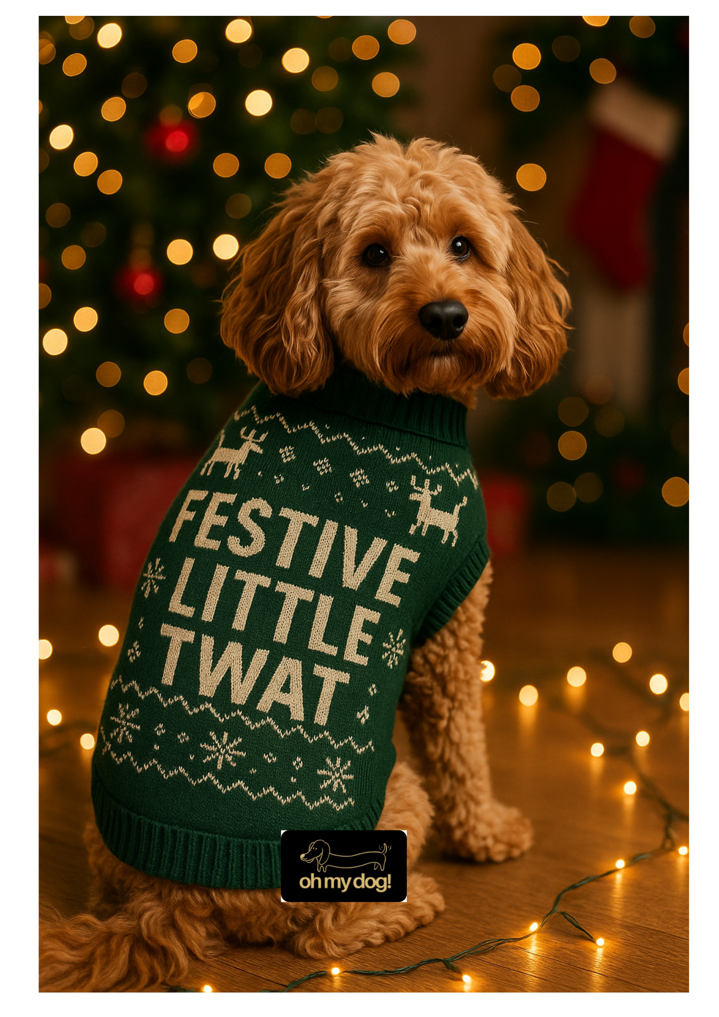 Festive ‘Little Twat’ Dog Jumper