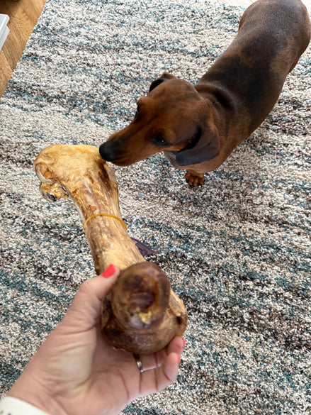 THE MEGA CHEWER BOX - ULTIMATE NATURAL TREAT BOX FOR BIG DOGS