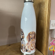 Chums, Dachshund, Insulated Water Bottle, Keeps Your Drink Hot or Cold