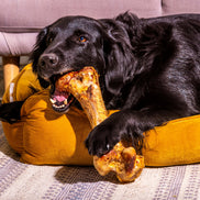 Ostrich Bone