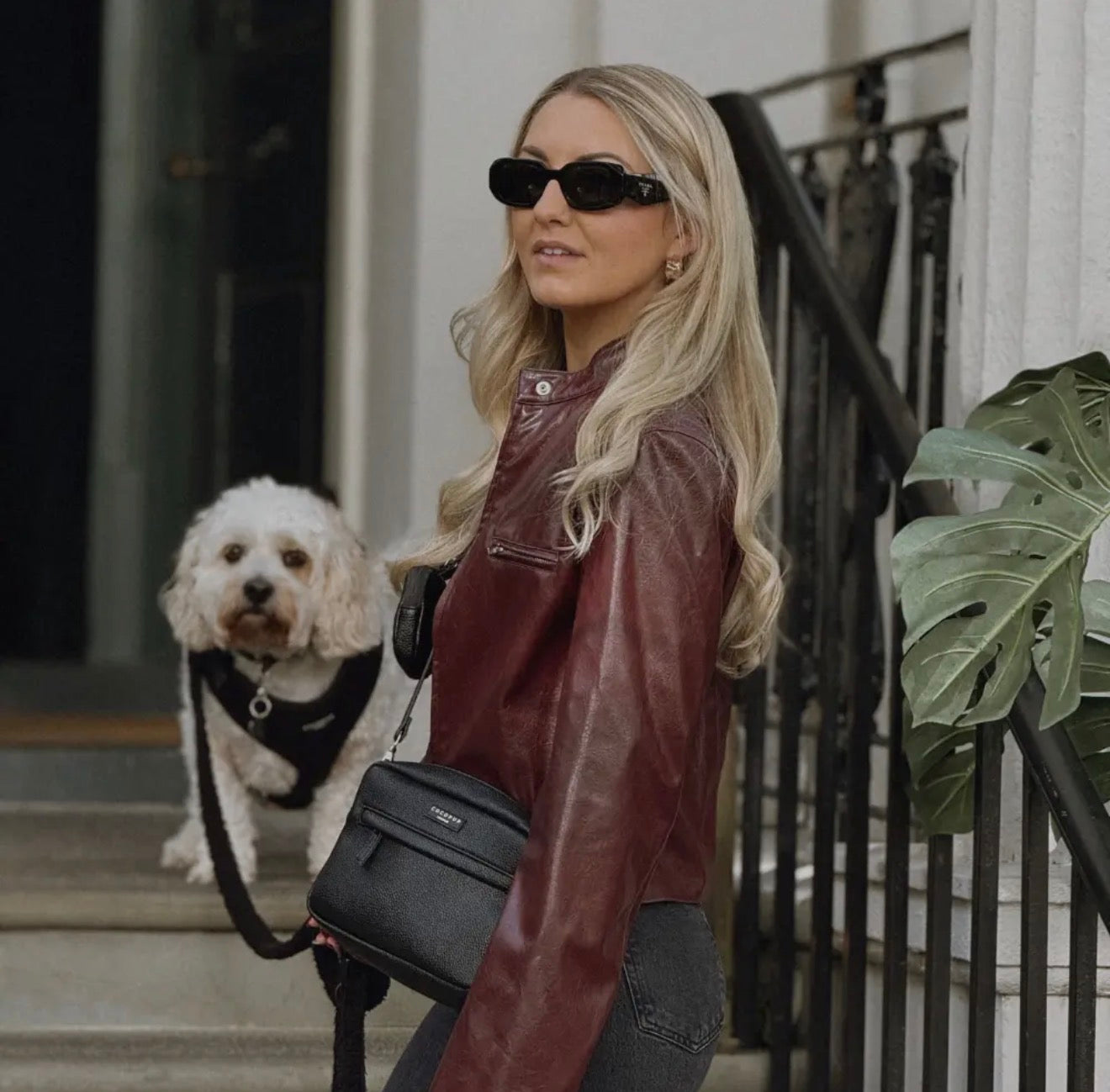 Cocopup London PU Leather Dog Walking Bundle - Black