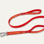 Twiggy Tags Awareness Close Control Leads