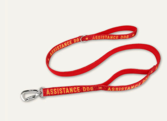 Twiggy Tags Awareness Close Control Leads