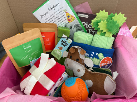 🎉 Oh My Dog Barkday Box 🎉