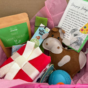 🎉 Oh My Dog Barkday Box 🎉