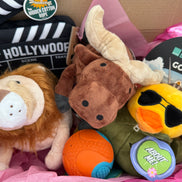 🎉 Oh My Dog Barkday Box 🎉