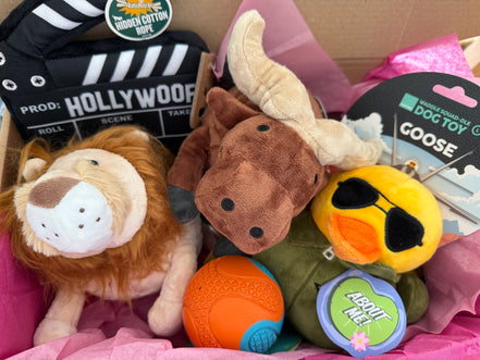 🎉 Oh My Dog Barkday Box 🎉