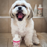 The Itchy Dog Shampoo & Conditioner 240ml