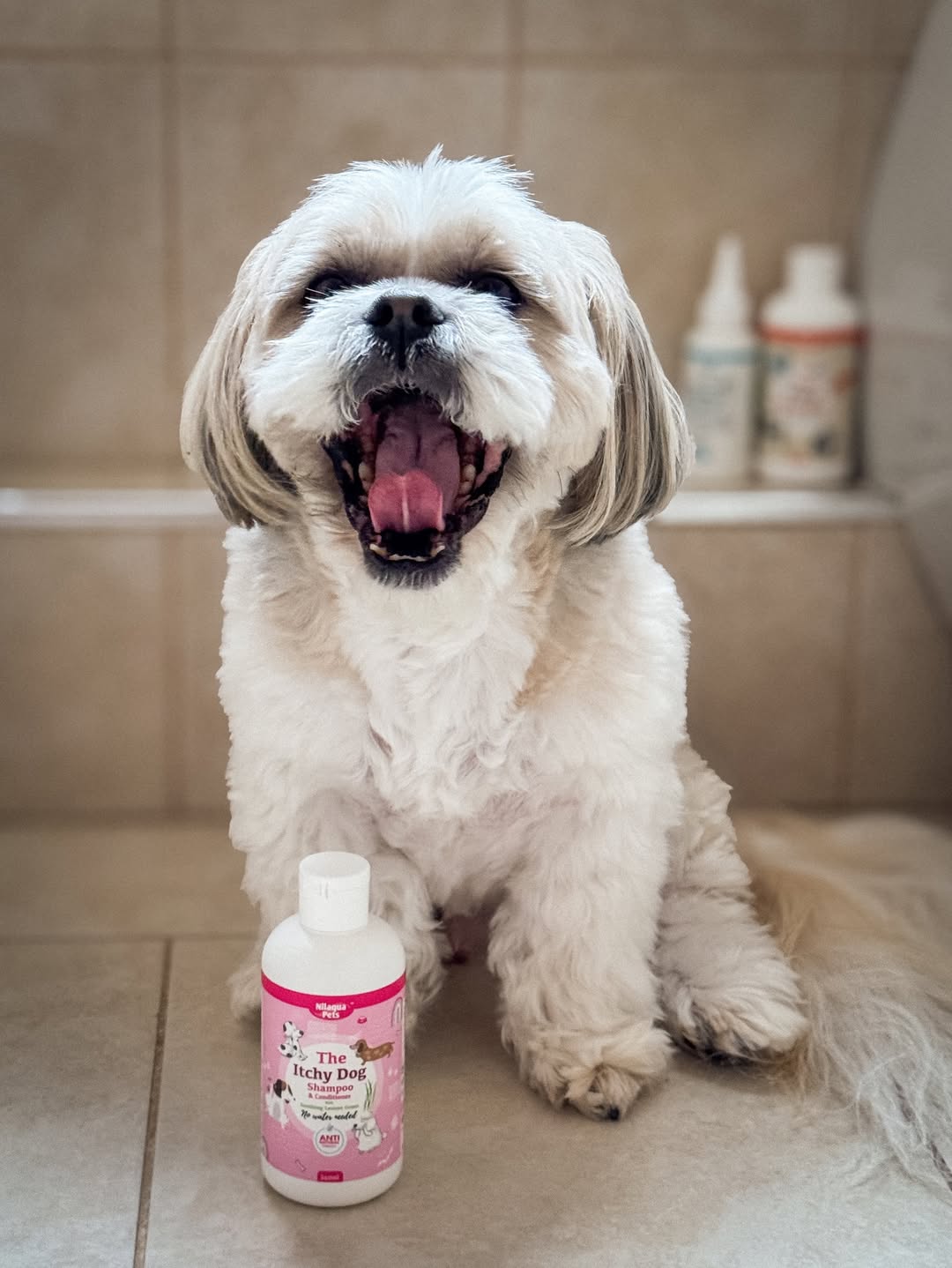 The Itchy Dog Shampoo & Conditioner 240ml