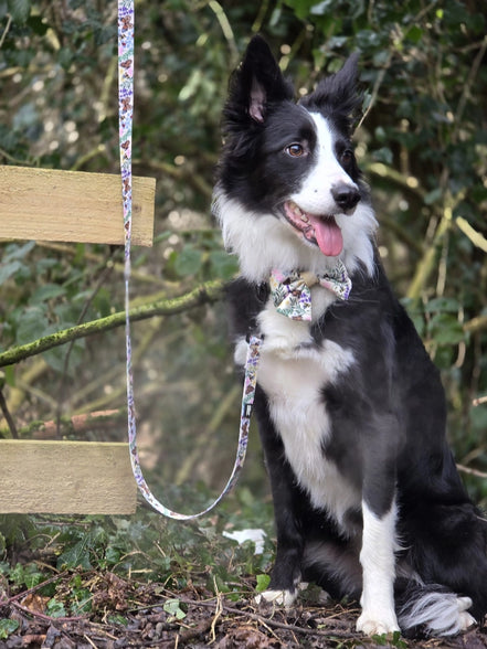 Dog Lead - Bumbles & Butterflies