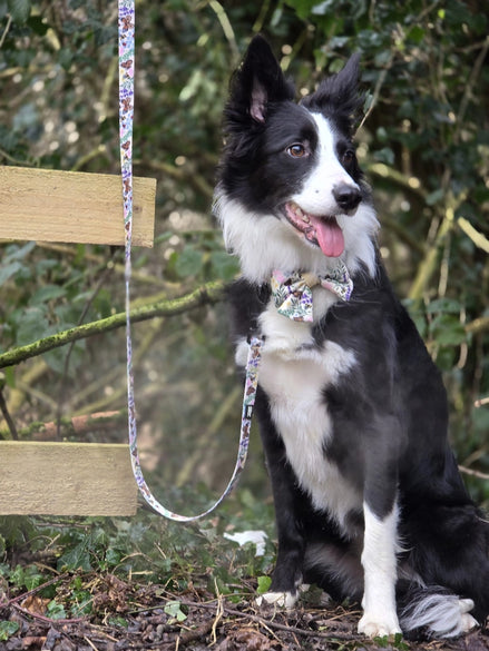 Dog Lead - Bumbles & Butterflies
