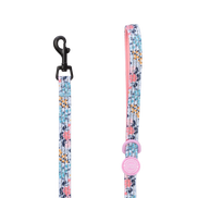 Bailey and Coco Trail & Glow Lightweight Mini Dog Lead 5ft - Colour Drops - Spring Dreams