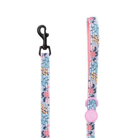 Bailey and Coco Trail & Glow Lightweight Mini Dog Lead 5ft - Colour Drops - Spring Dreams