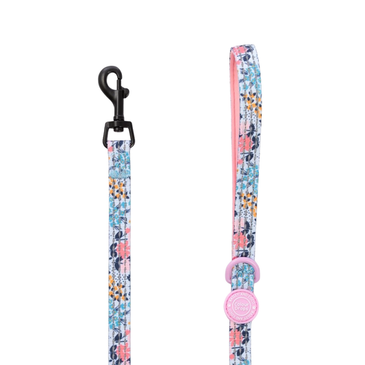 Bailey and Coco Trail & Glow Lightweight Mini Dog Lead 5ft - Colour Drops - Spring Dreams