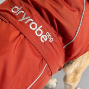 Burnt Orange Dog Coat