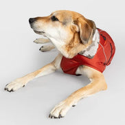 Burnt Orange Dog Coat