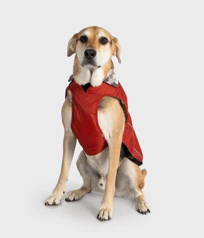 Burnt Orange DRYROBE Dog