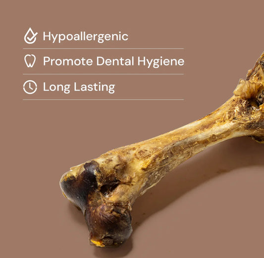 Ostrich Bone