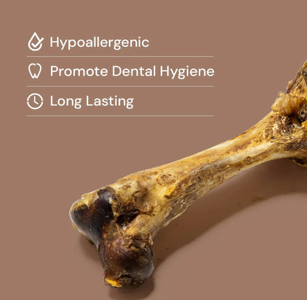 Ostrich Bone