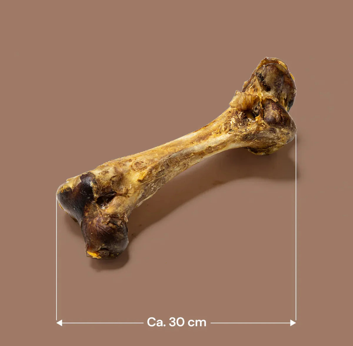 Ostrich Bone